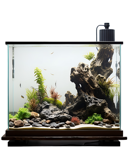 各式魚缸整理維護