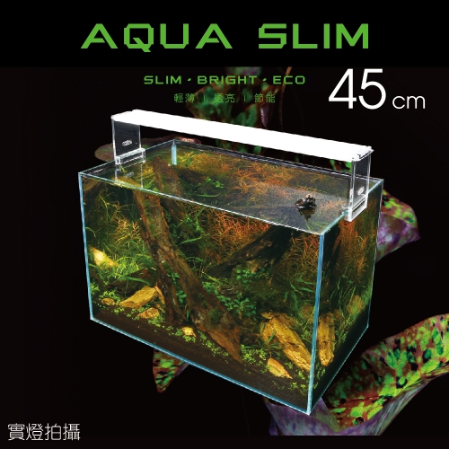 ISTA 高透光水草燈