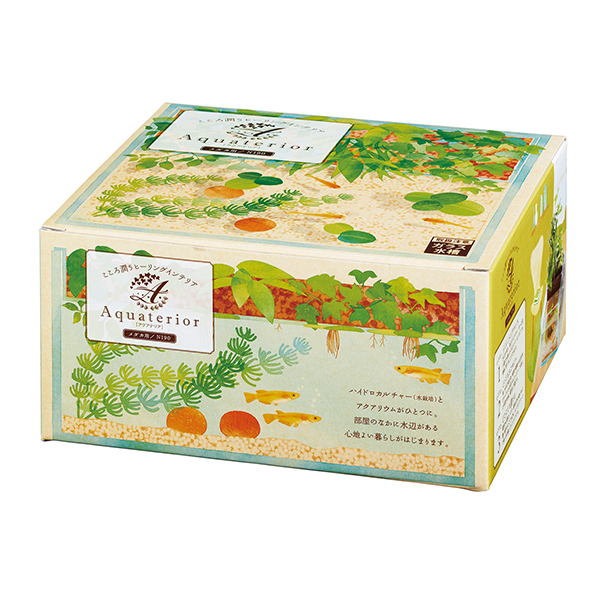 F-0008 魚草生態缸 2代 $816