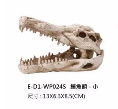 E-D1-WP024S 鱷魚頭 $195