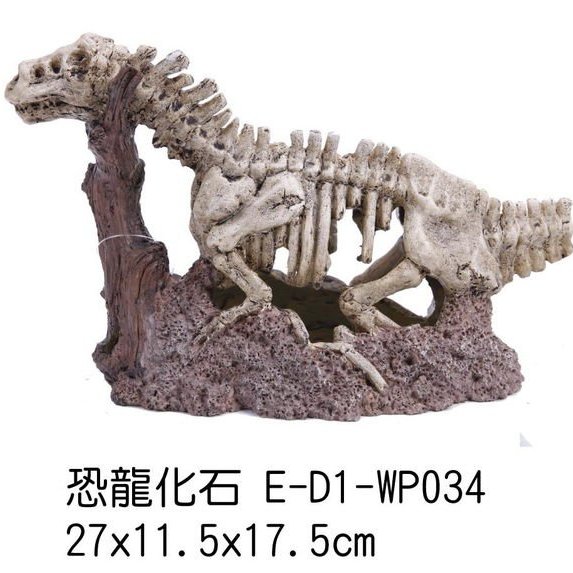 E-D1-WP034 恐龍化石 $255