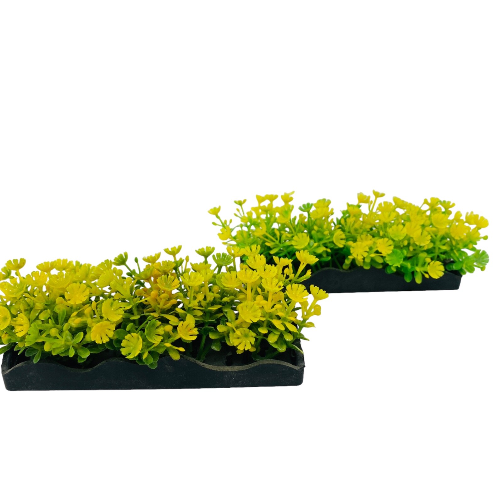 E2-BBP-202 小黃花 $55