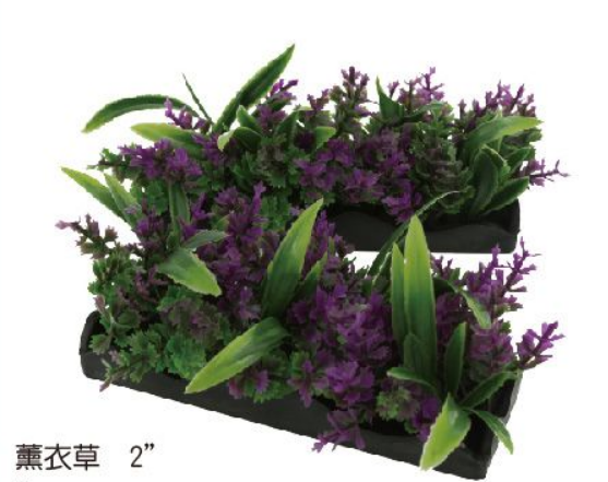 E2-BBP-208 薰衣草 $55 