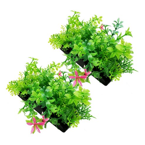 E2-BBP-401 珍珠草 $55 