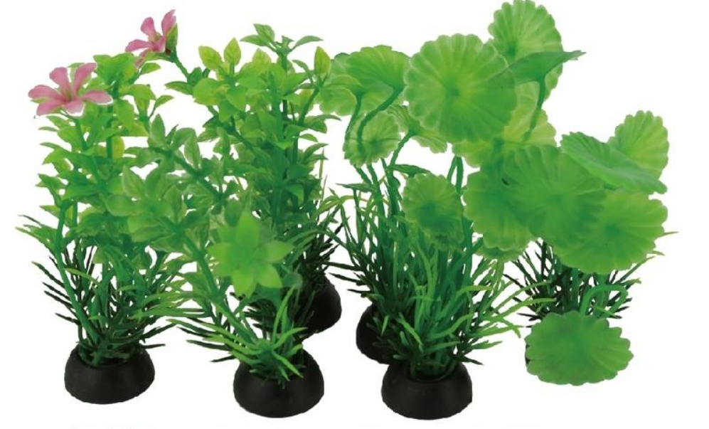 E2-TZ-402 南美草皮.珍珠草.銅錢草 $45