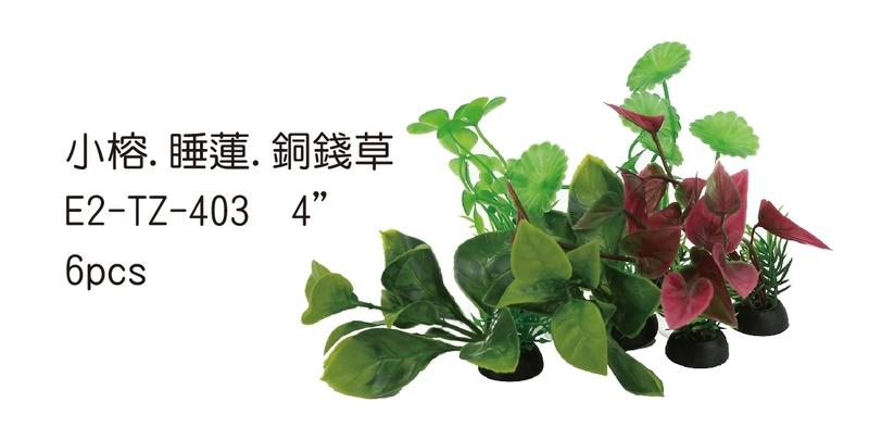 E2-TZ-403 小榕.睡蓮.銅錢草 $45